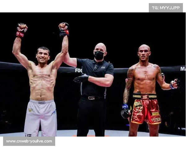 中国拳击年度收官战展现本土拳手实力